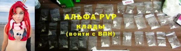 прущие грибы Волосово