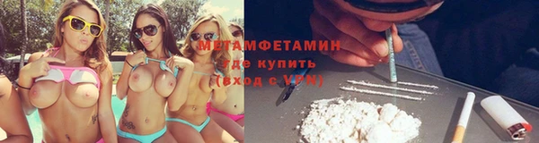 прущие грибы Волосово