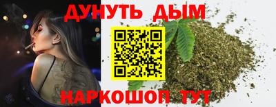 амф Бийск