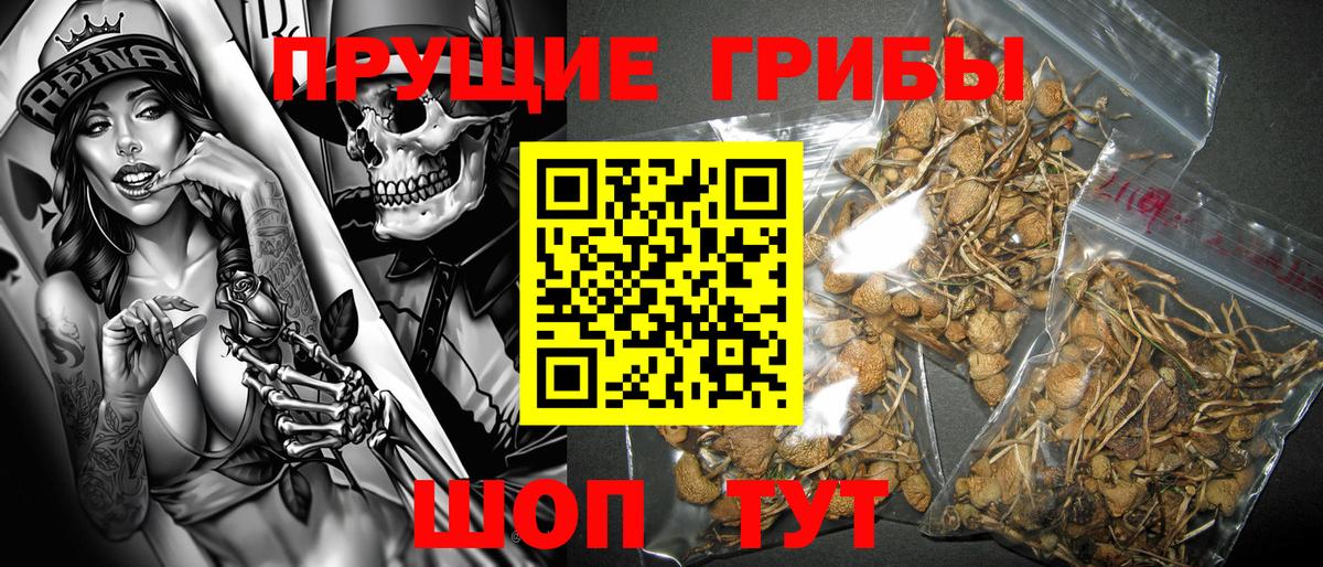 Псилоцибиновые грибы мицелий Зеленокумск