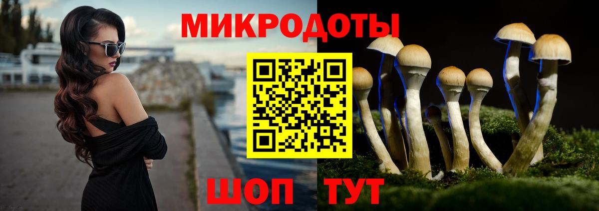 Галлюциногенные грибы мицелий  Зеленокумск  Псилоцибиновые грибы Cubensis 