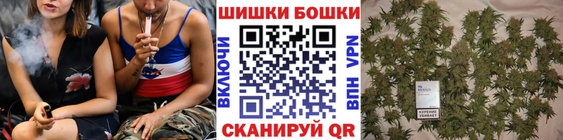 Шишки марихуана индика  Зеленокумск 